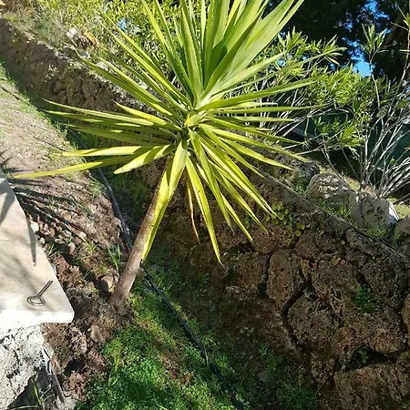 Apartment 86 Avenue Des Bois